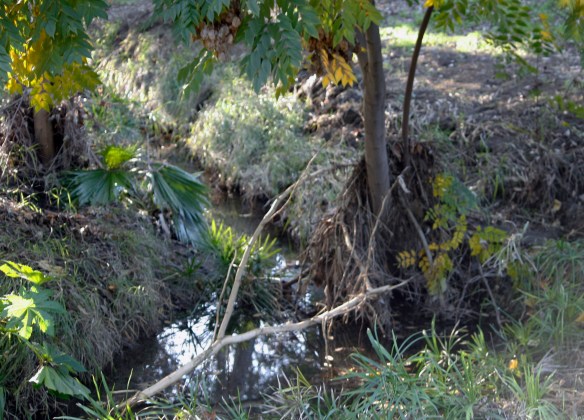 Strickling Park, Chino Hills, CA.