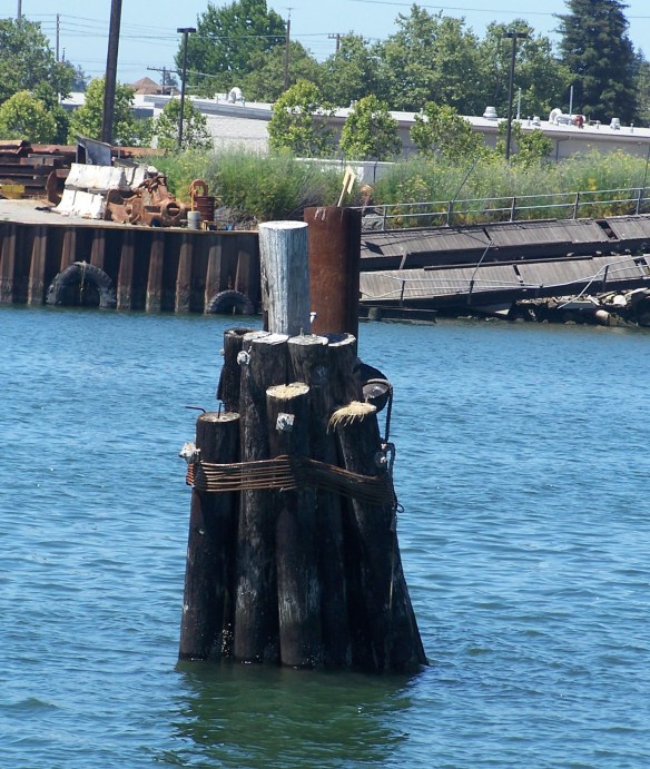 Oakland and Rodeo06 002ps