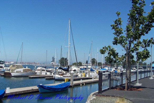 Oakland and Rodeo06 psn