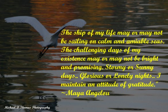 Trail Park 003 Dr Maya ps