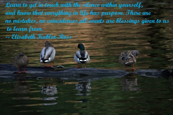 g-s-park-090-quote-ps