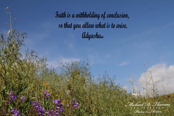 Poppies 094 Name Q ps